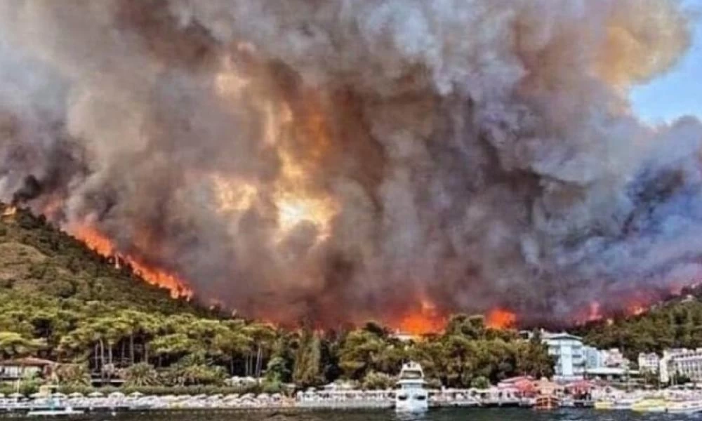 Τα φλεγόμενα δάση της Τουρκίας και η παράνοια απειλής νέου πραξικοπήματος κατά του Ερντογάν!